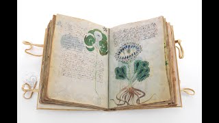 Decoding the Mysterious Voynich Manuscript: Insights and Theories