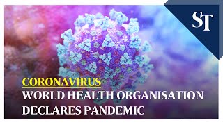 Coronavirus: World Health Organization (WHO) declares pandemic screenshot 4