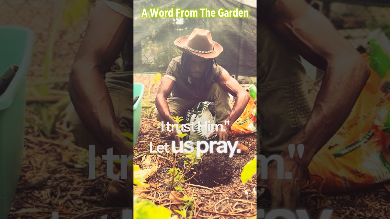 A Prayer for Restoration During Emotional Shifts | A Word from the Garden
