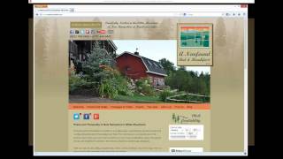 Information EduByte .047 - How to Determine if your Website is Responsive News