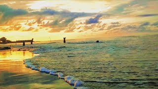 Nature Sounds: Soothing Ocean Waves ASMR for Stress Relief and Sleep Therapy, Study, Relaxing music