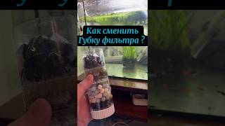 Ремонт аквариумного фильтра #аквариумистика #фильтрыдляводы