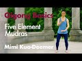 Qigong basics  the five elements organ mudra meditation