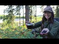 Canning Old-Fashioned Wild Foraged Jam | Alaska Subsistence Homestead Life