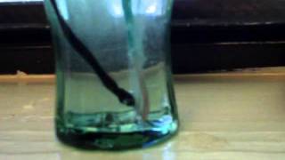 Apologia Physical Science Module 1 Experiment Part 1 of a few