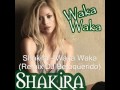 SHAKIRA - WAKA WAKA (ELECTRO HOUSE REMIX 2011 DJ BETOQUERIDO) HD