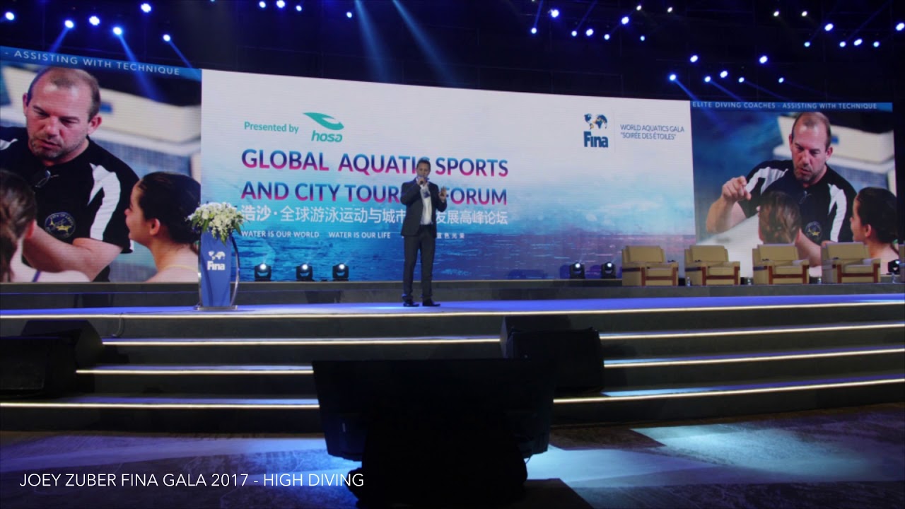 JOEY ZUBER FINA GALA 2017 NEW HORIZONS HIGH DIVING