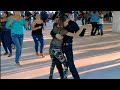 Los Pechochos bailan en el bosque