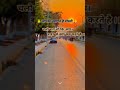 चलो बताओ आप शहर में क्या काम करते है #शोर्ट्स #सायरी #सेट्स #वायरल #शहरवाइब #ट्रेंडिंग सीताराम आपको🙏