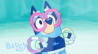 Chapoteando 💧 | La piscina | Bluey Español Canal Oficial