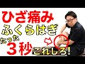 膝の痛み3秒ふくらはぎを押すだけ!一瞬で膝の痛みが取れる!