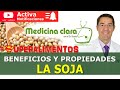 Soja-Soya. Beneficios y mitos de la soja o soya | Medicina Clara