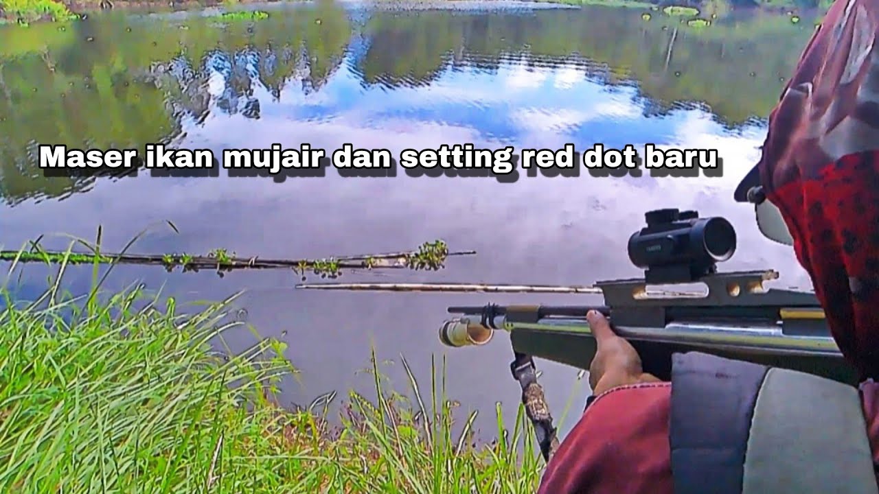 Maser Ikan Mujair Dan Setting Red Dot Baru
