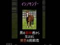イシノサンデー派手で地味な人気者