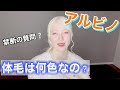 【アルビノの体毛について】質問多くいただくのでまとめました!!