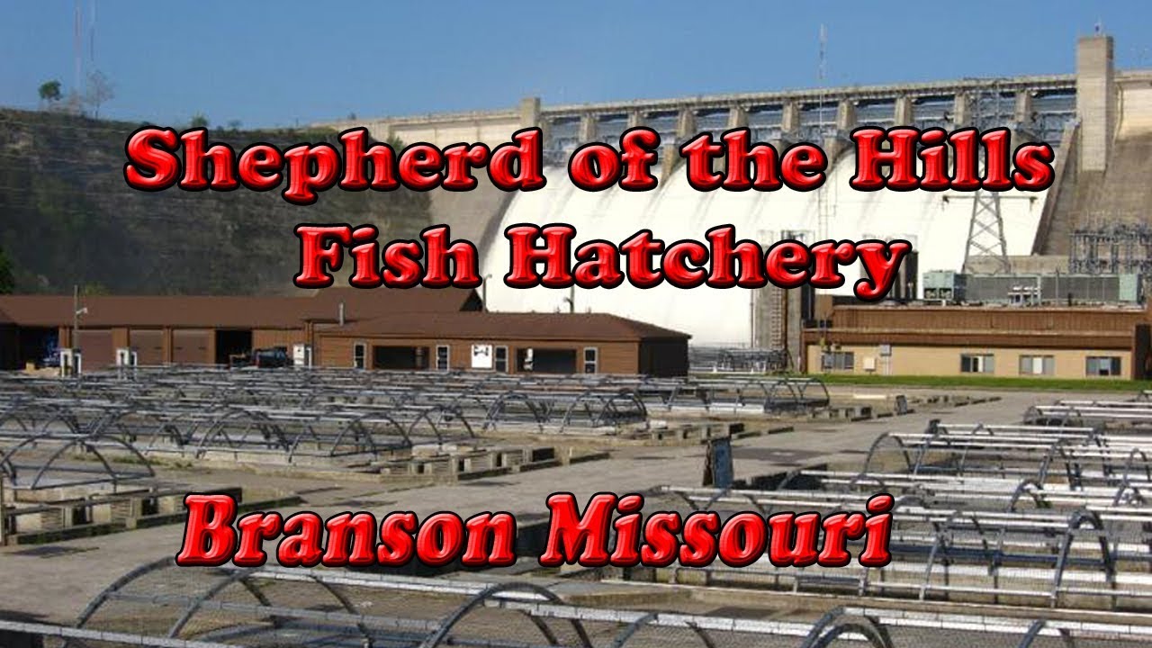 SHEPHERD OF THE HILLS FISH TROUT HATCHERY BRANSON MISSOURI YouTube