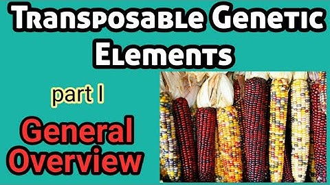 Transposable Genetic Elements | Mobile Genetic Elements | Jumping Genes | AM Biologie Notes