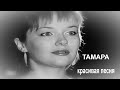 "Тамара"... дворовая песня Александра Батенькова. КлипHD4k.
