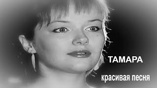 "Тамара"... дворовая песня Александра Батенькова. КлипHD4k.