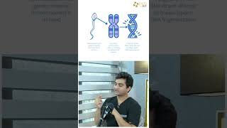 Is Sperm Affecting Embryo Quality? Dr Rhythm Gupta - Infertility and IVF specialist at Excel IVF