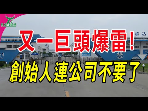 又一巨頭業績爆雷！連續3年下跌！創始人不想要了，知名品牌賣身印尼大亨！#粵語 #中國經濟 #維達