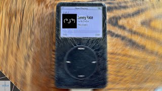 I Hab Acquired More Ｐ Ｏ Ｄ