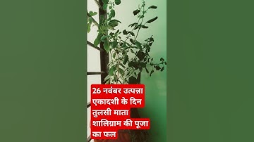 26 नवंबर उत्पन्ना एकादशी के दिन करें यह अचूक उपाय #ekadashi #upay #viral video