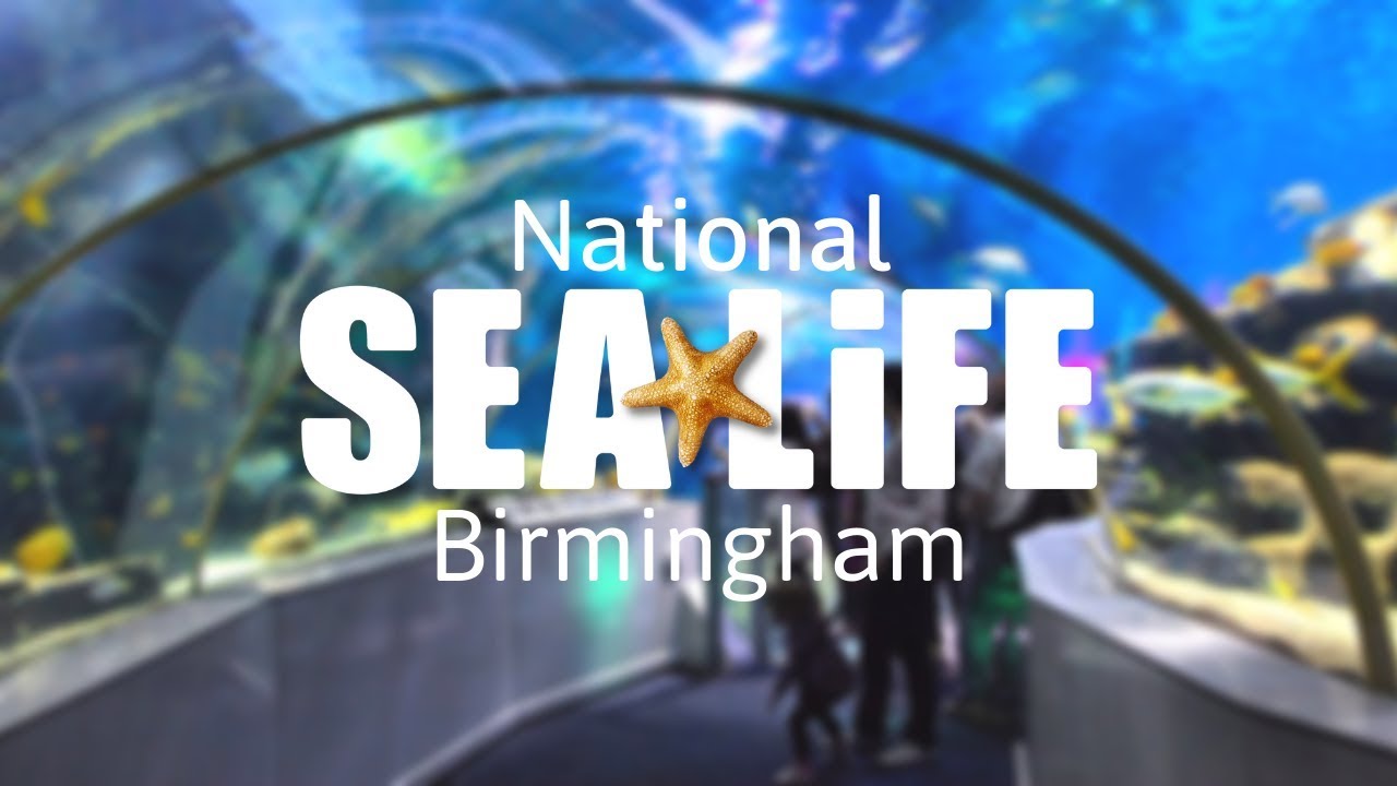 Sea Life Centre Birmingham Vlog YouTube Sea Life Centre Birmingham Vlog YouTube
