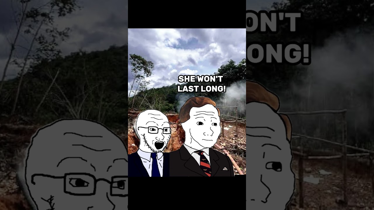 A figth for the forest