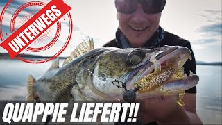 ZANDER Vlog | Heftige Beißphase am Stausee