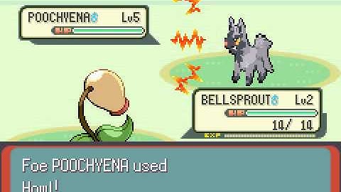 Pokemon Emerald - Catch 