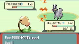 Pokemon Emerald - Catch 