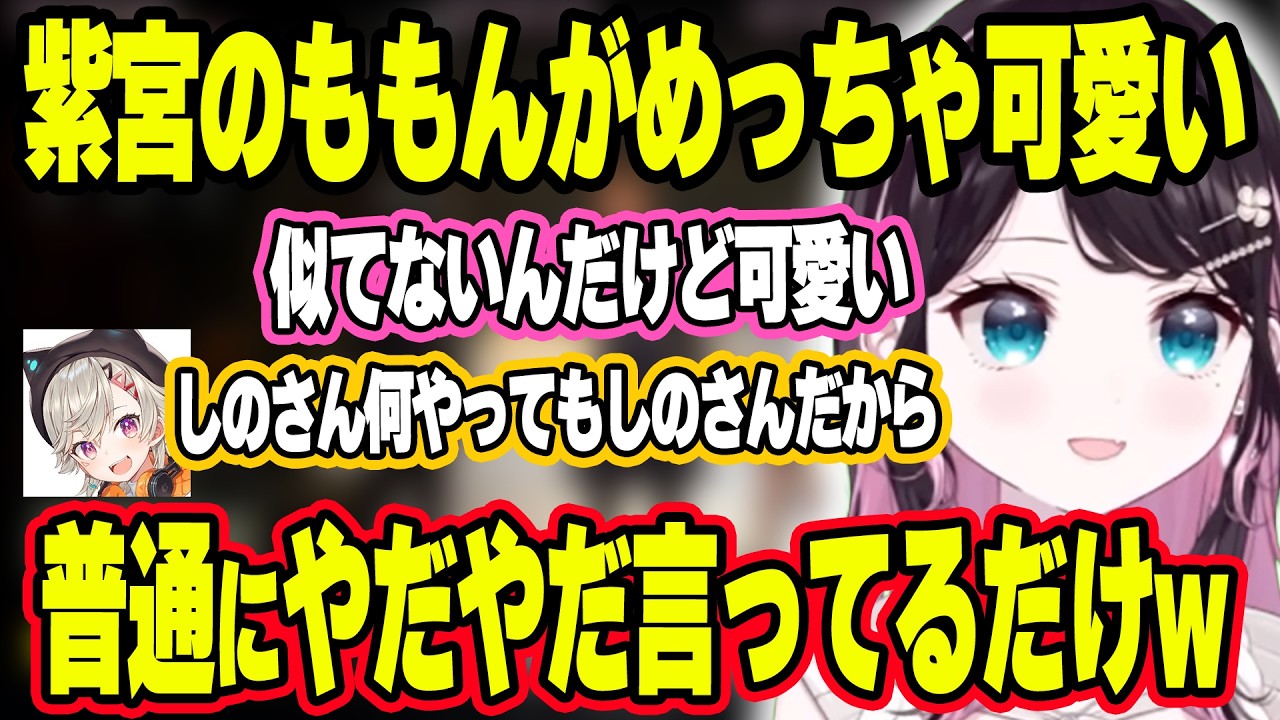 ディズニーを知らなさ過ぎて城をラブホだと思ってしったなずぴwww&ちいかわごっこがしたいなずぴwww【ぶいすぽ切り抜き/花芽なずな】