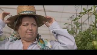 Vídeo de las Fiestas Mayores 2019 Homenaje