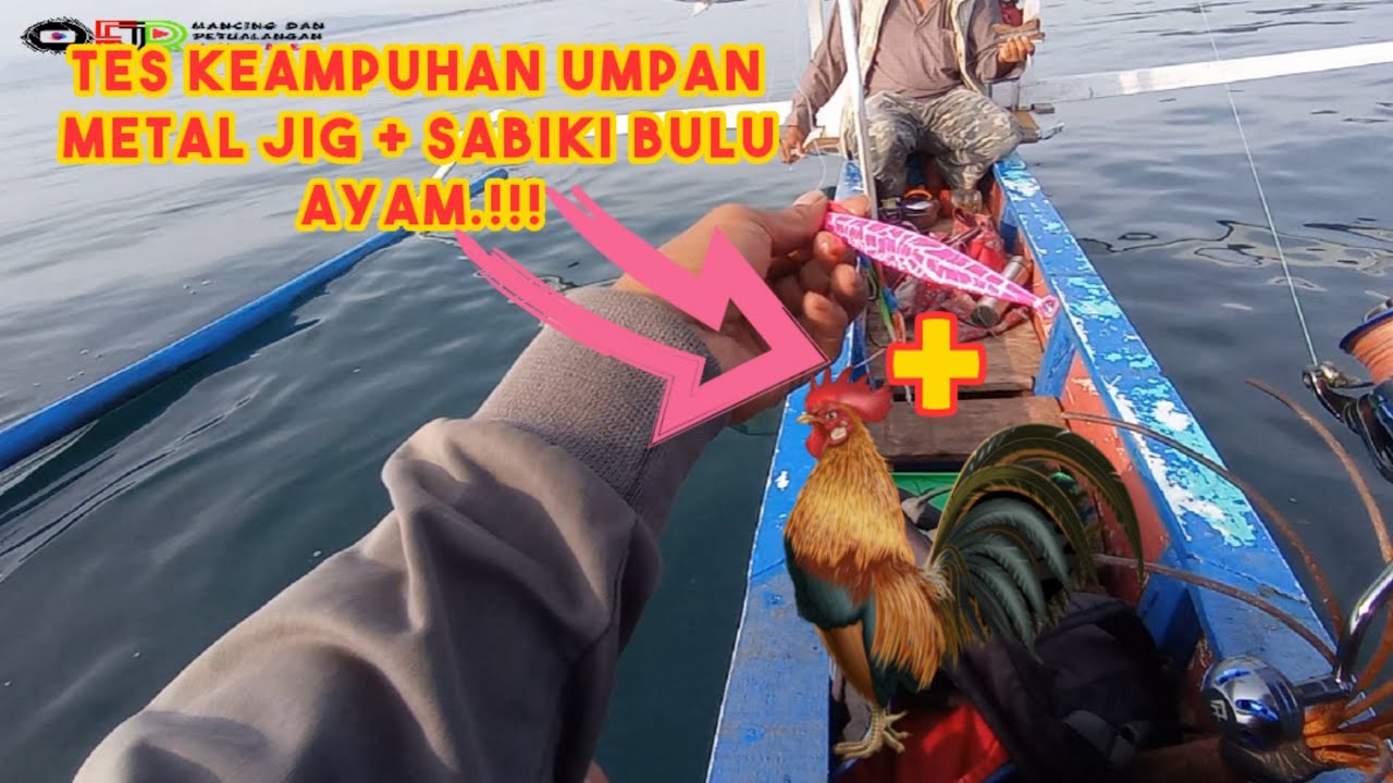 Tes Perdana, Keampuhan Umpan Metal Jig + Sabiki Bulu Ayam.!!! Strike Ikan Sultan.!!!