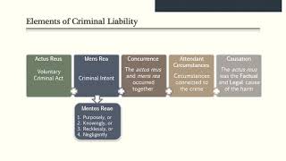 Criminal Law II - Substantive Criminal Law - Concurrence, Causation, Harm, and Mistake of Fact