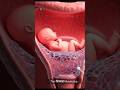 Why Sperm Can't Enter: Cervical Mucus Plug Explained in 3D Animation | #pregnancyjourney #aiart