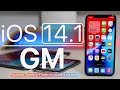 iOS 14.1 GM is Out! - What's New?