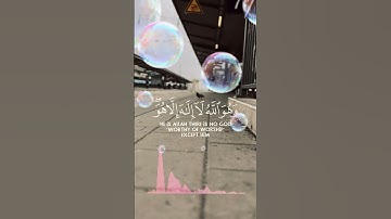 {وربك يخلق ما يشاء ويختار}ما تيسر من سورة القصص  #قران_كريم #quran_alkarim #راحة_نفسية #تلاوة_خاشعة