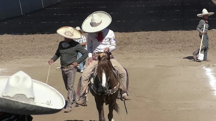 Juan Aurelio Tenorio Charro Completo Estatal de Ar...