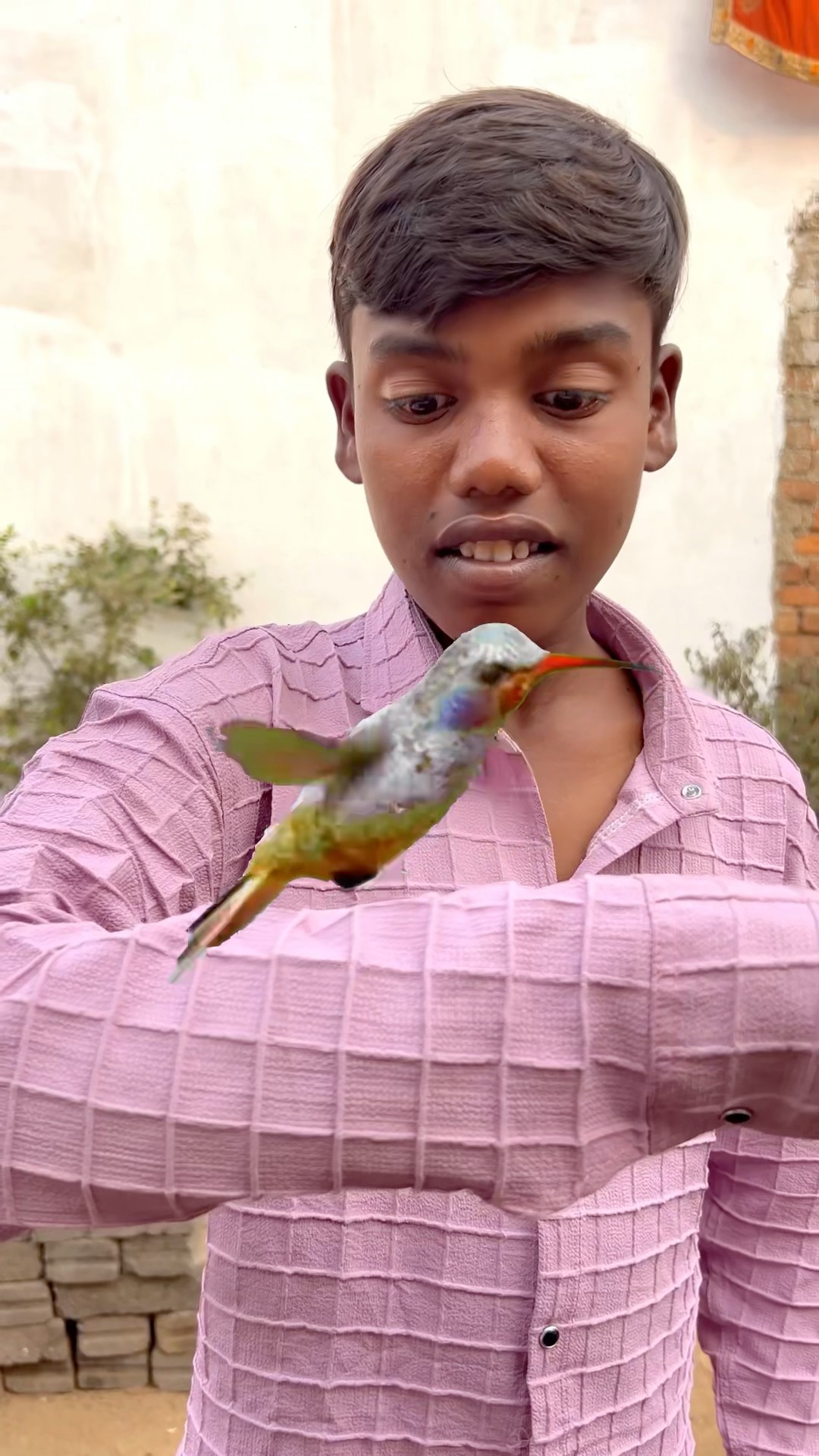 CHOTU KA HELPING BIRD #shorts @FACTFIREKING