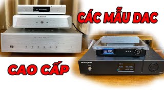 Điểm Danh Các Mẫu Giải Mã DAC Cao Cấp Hiện Nay. Gustard-Topping-Smsl-Musician-Denafrips