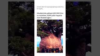 Daha Önce Buraya Gittinizmi? Burası Gidilmesi Gereken Bir Yer Say.linkpzsw2