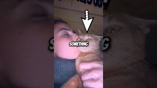 Please Dont Press This Sound Ever