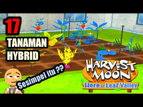 Harvest Moon Hero Of Leaf Valley Remake