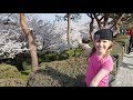 Dale Discovers - Kanazawa - Day 9 & 10, Trip 3, 2018