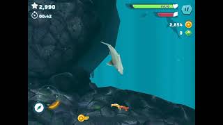لعبة مضحكة حضل العبها في القناة الجديدة اسم اللعبة hungri shark