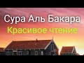 Сура Аль Бакара Красивое Чтение