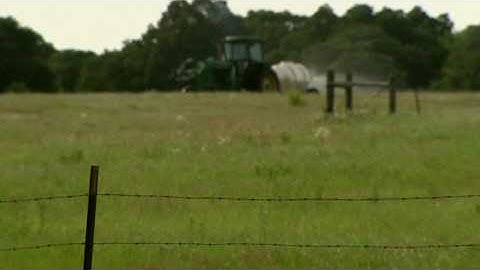 Spraying Pastures for Weeds