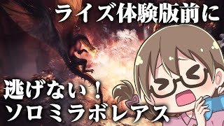 Mhwi ライズ体験版前に大剣 ハンマー 弓でミラボレアスとアルバトリオンと歴戦王イヴェルカーナをソロクリアする モンハンワールド アイスボーン Youtube Mhwi ライズ体験版前に大剣 ハンマー 弓でミラボレアスとアルバトリオンと歴戦王イヴェルカーナをソロクリアする モンハンワールド アイスボーン Youtube